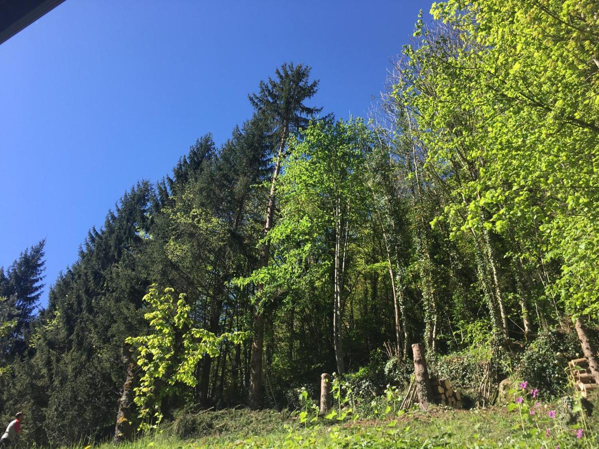 Chalet Du Parc Ax Ax-les-Thermes Esterno foto